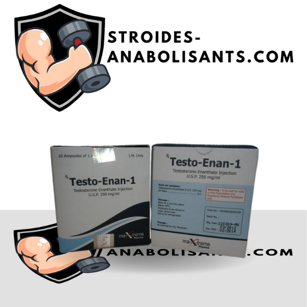 Testo-Enan amp