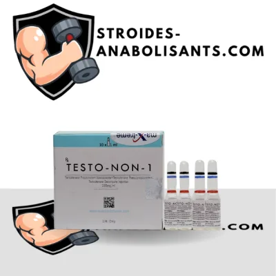 Testo-Non-1